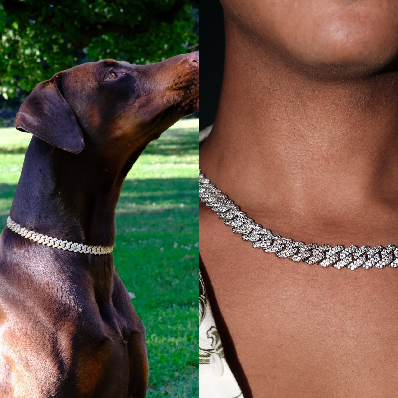 A Doberman wearing a gold Canine Crystal Cuban chain collar beside a person wearing the matching Owner's Crystal Cuban chain