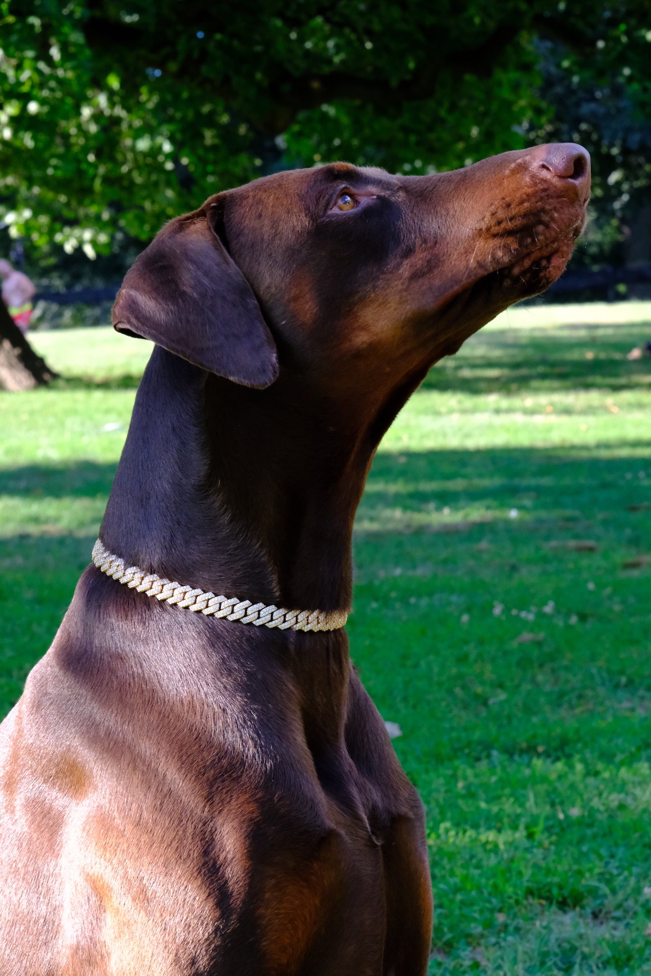 Canine Crystal Cuban Chain 14mm thick