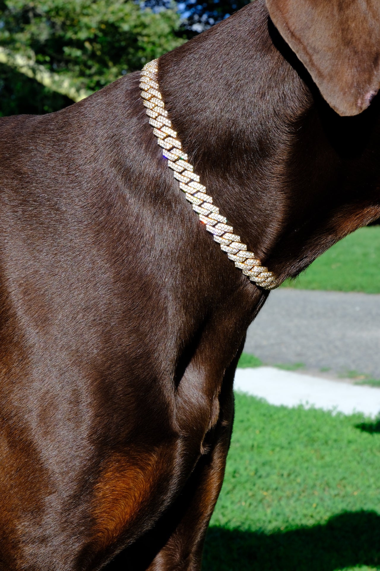 Canine Crystal Cuban Chain 14mm thick