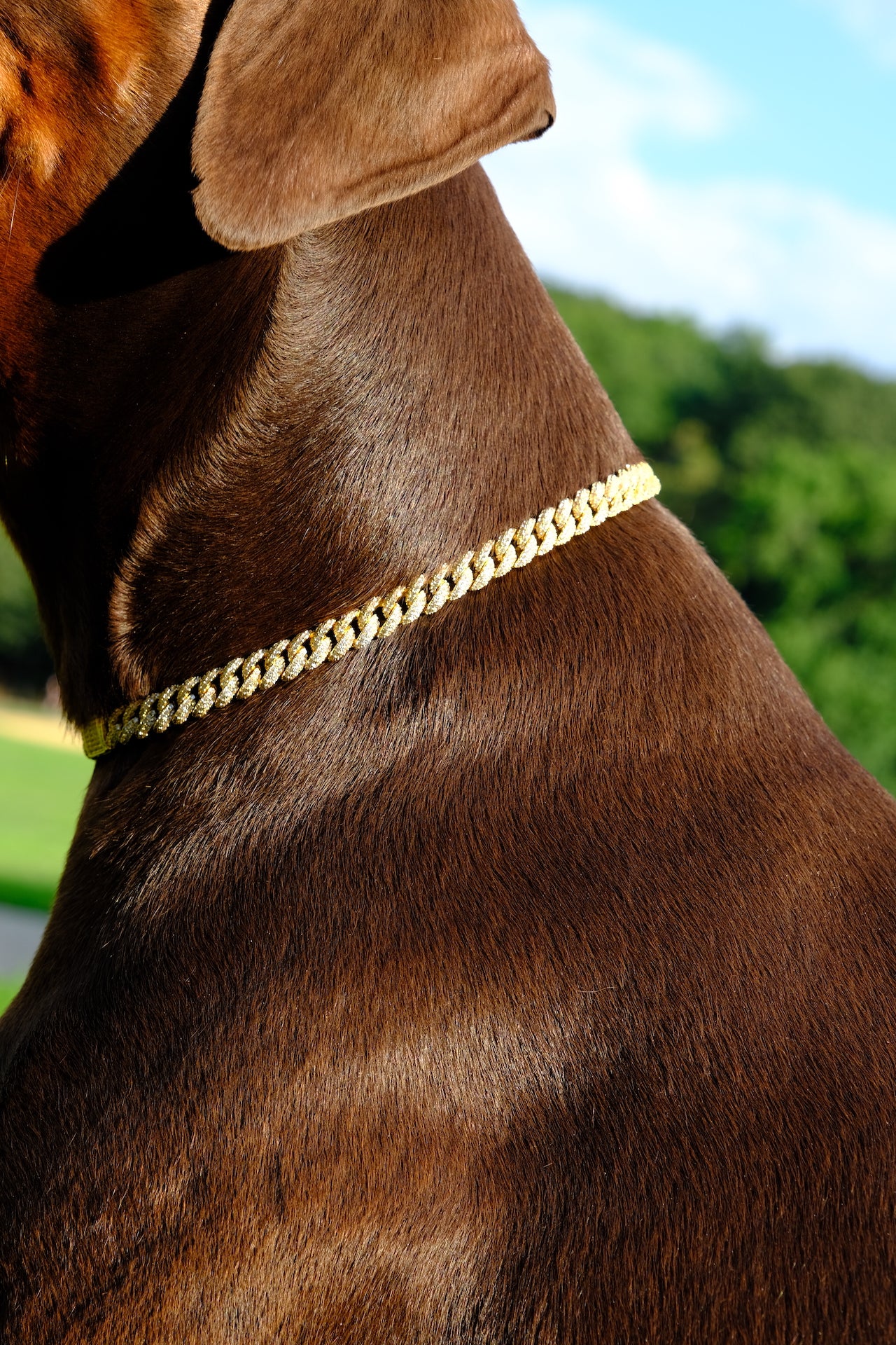 Deluxe Canine Crystal Chain