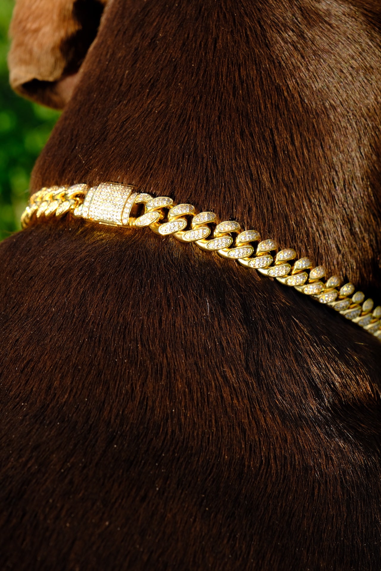 Clasic Canine Crystal Chain