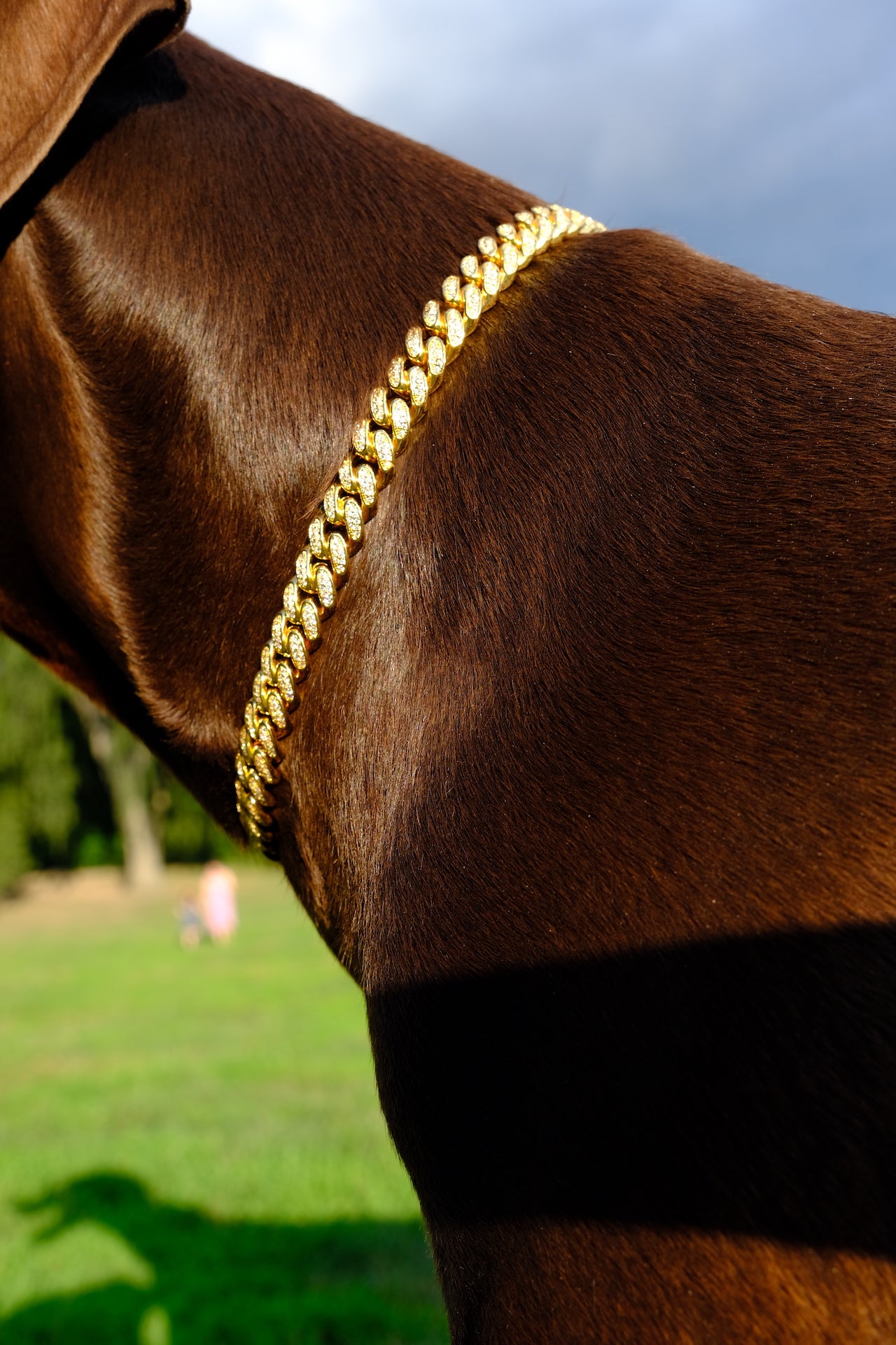 Clasic Canine Crystal Chain