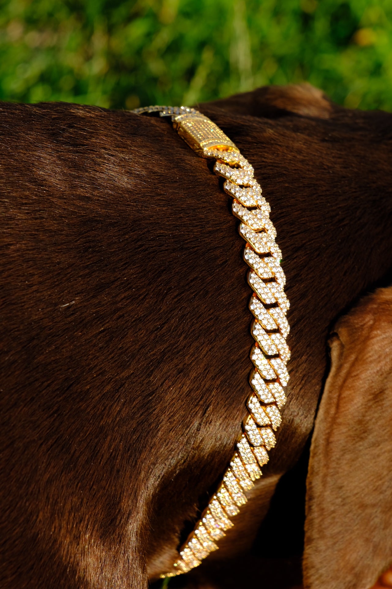 Canine Crystal Cuban Chain 14mm thick