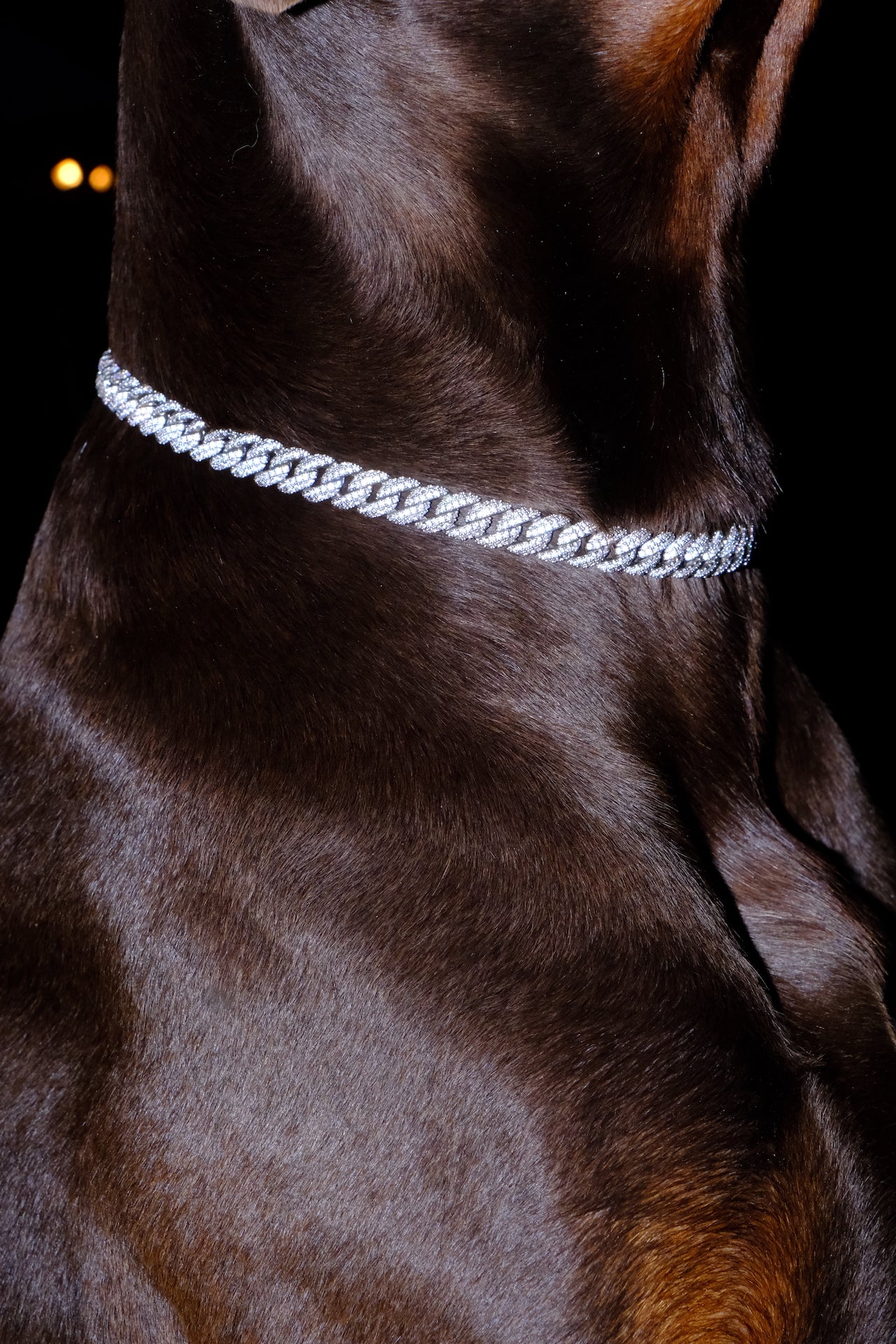 Deluxe Canine Crystal Chain