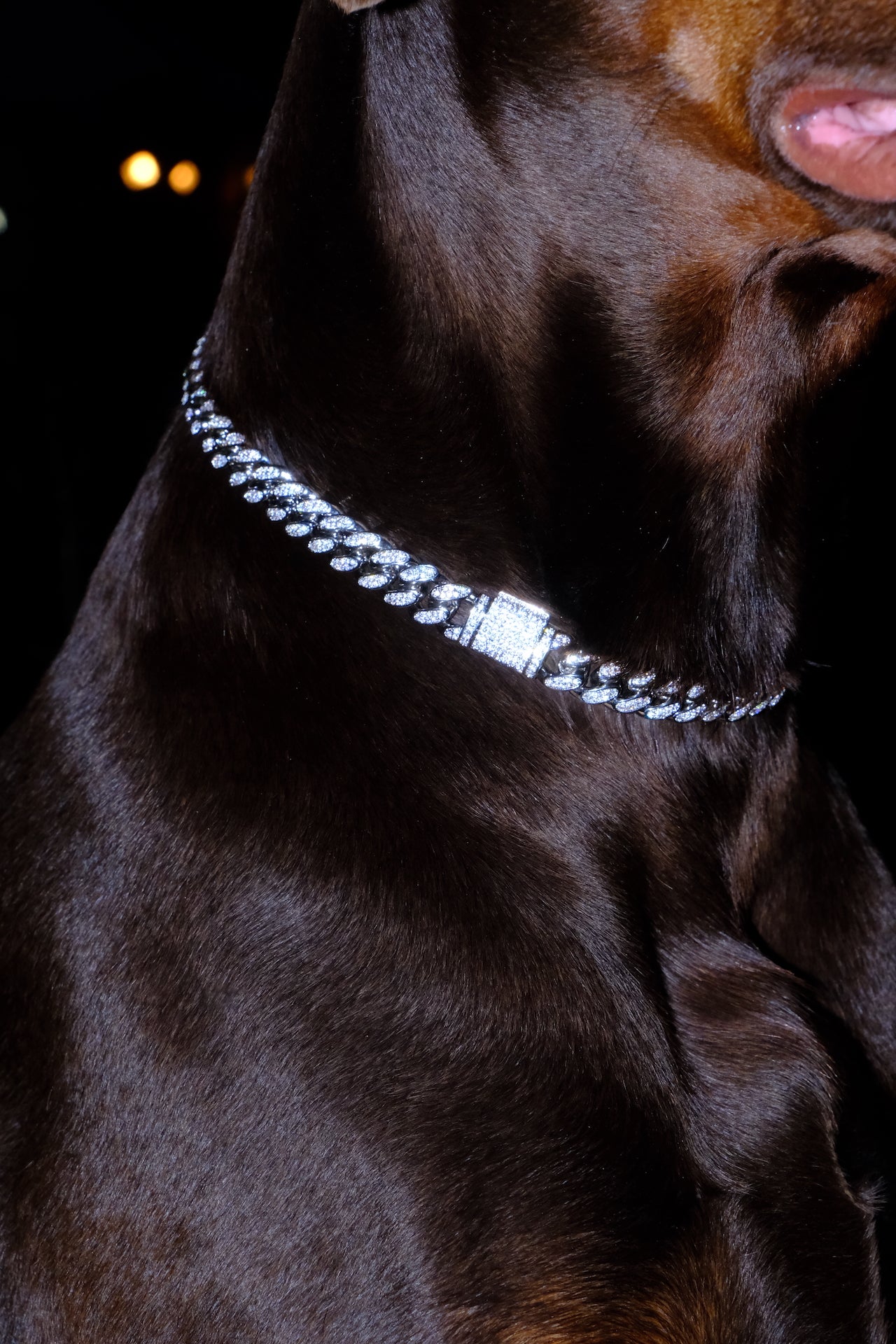 Clasic Canine Crystal Chain