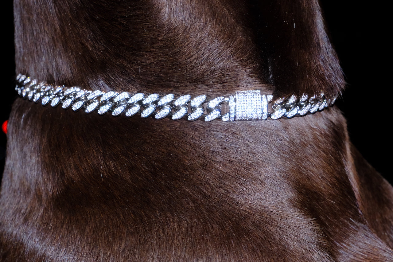 Clasic Canine Crystal Chain