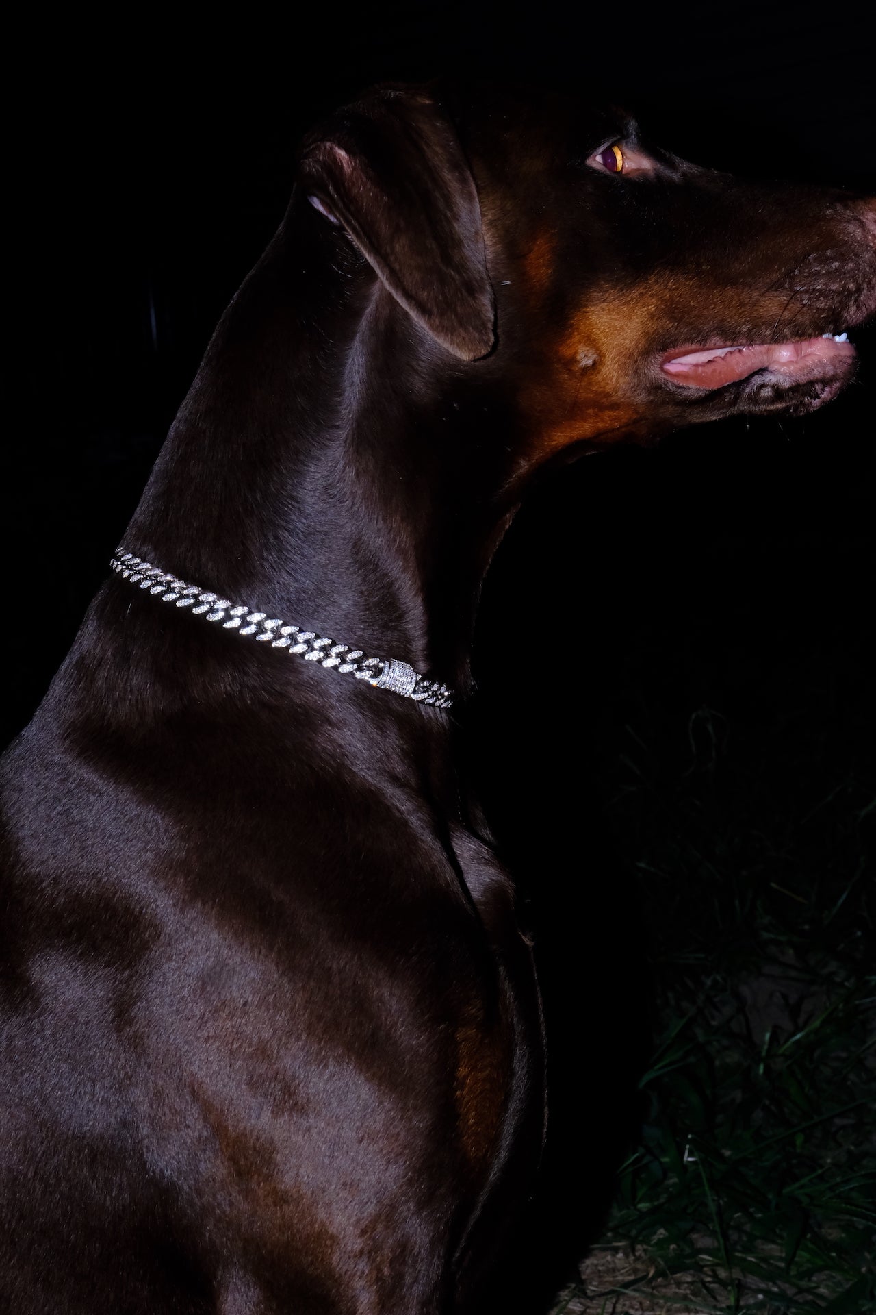 Clasic Canine Crystal Chain