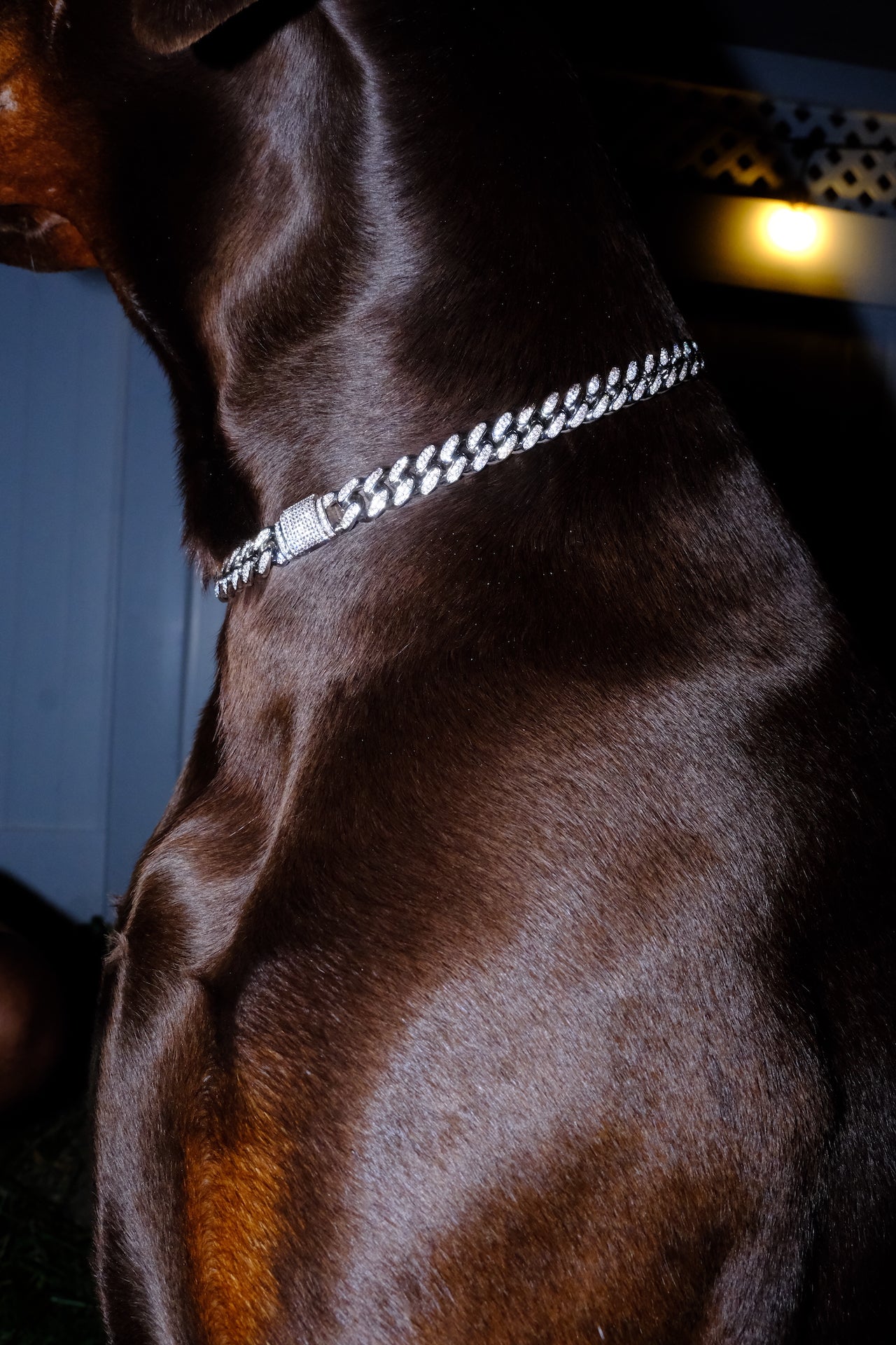 Clasic Canine Crystal Chain