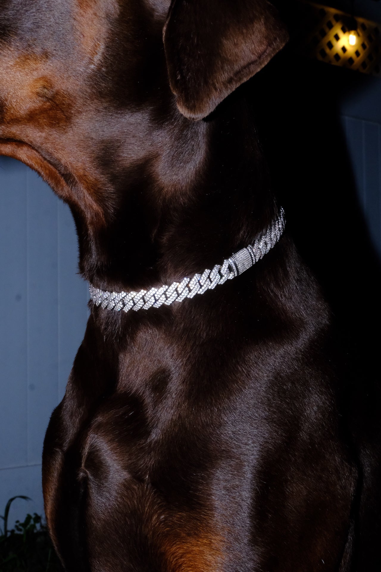 Canine Crystal Cuban Chain 14mm thick