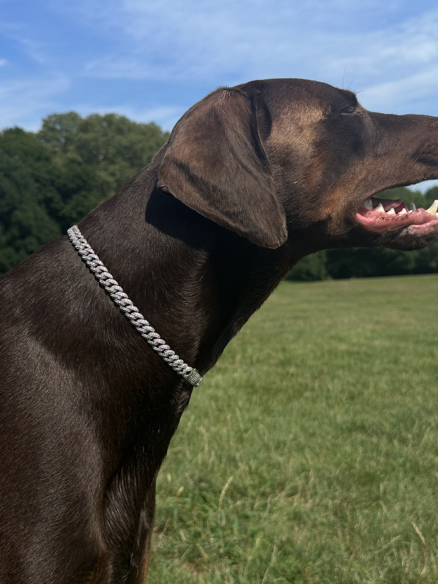 Deluxe Canine Crystal Chain